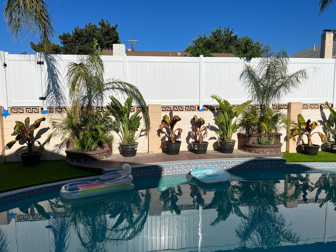 Lush greenery and palm plants along a swimming pool under a clear blue sky.